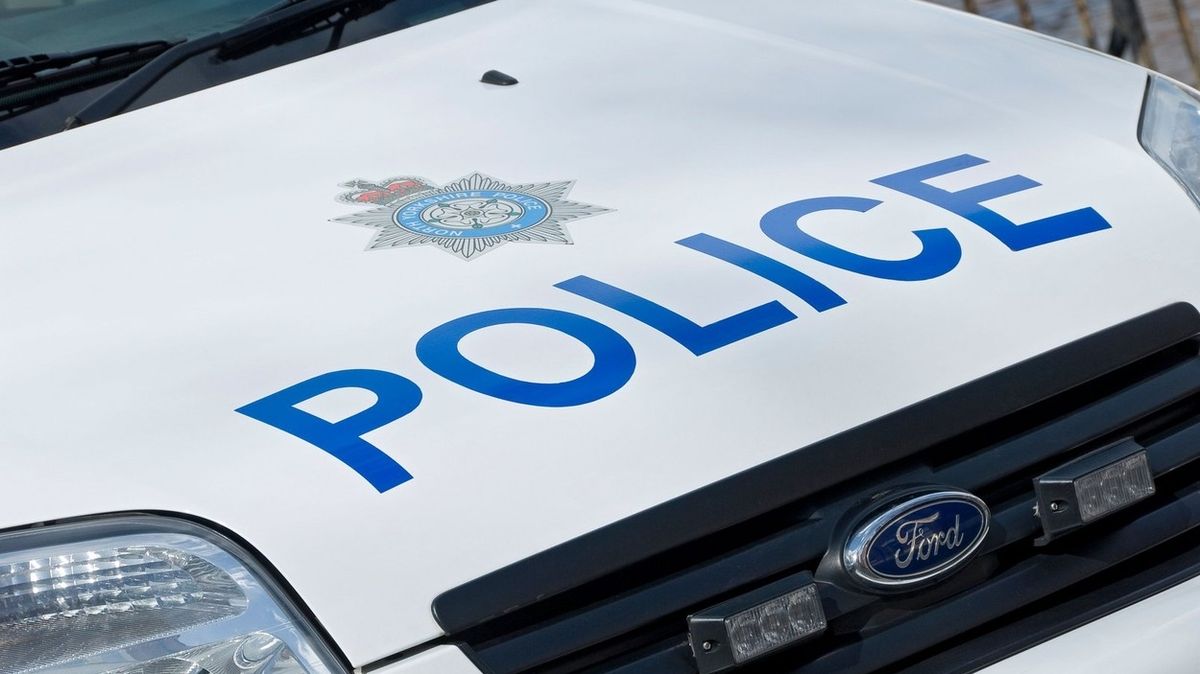 Dva teenageři v Anglii ukradli auto i se dvěma malými dětmi uvnitř
